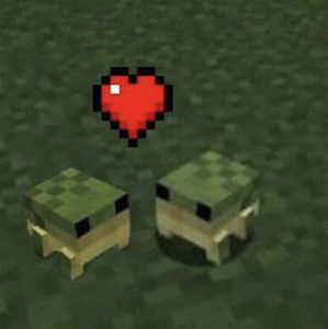 Meet your Posher, Allyson